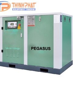 Máy Nén Khí Trục Vít Pegasus TMPM150A INVT