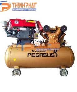 Máy Nén Khí Chạy Dầu Diesel TM-W-1.6/8-500L